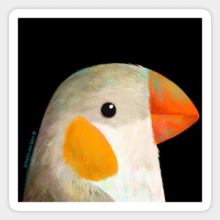 Penguin Zebra Finch Bird Magnet